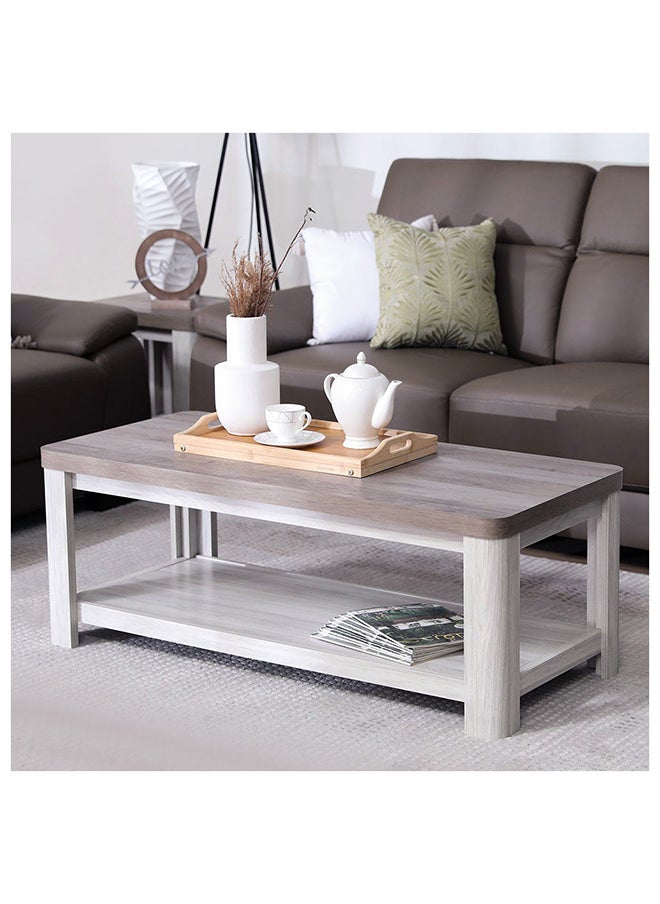 DANUBE HOME Olivos Coffee Table With Shelf Multi Functional Living Room Desk Space Saving Center Table Furniture For Home Living Room L 120 x W 54 x H 45 cm Ash Grey / Oak  - Image 1