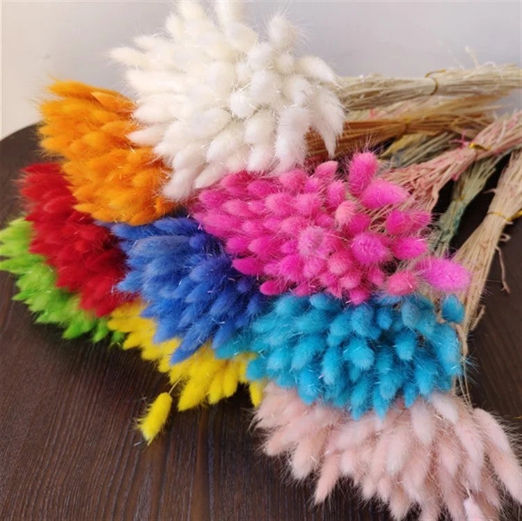 Bluejw INS Style Natural Dried Bunny Tail Grass Cake Topper 60PCS - Wedding Bouquets & Flower Arrangement, Dried Plants Decor - Image 1