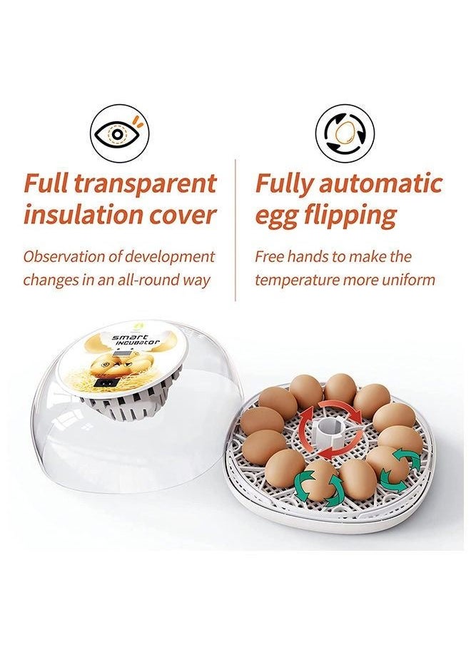 Generic - 12 Eggs Automatic Egg Incubator Digital Hatching Eggs with Fully Automatic Turner, Poultry Hatching Machine with Humidity Control for Chicken Quail Duck Goose Pigeon Birds Eggs - Image 1