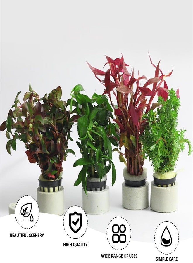 YOLUFER Aquatic Plants Fixed Set 5pcs Aquarium Plant Weights Pot and 5pcs Planting Cup with 5pcs Fixing Cottons Aquarium Accessories (15) - Image 4