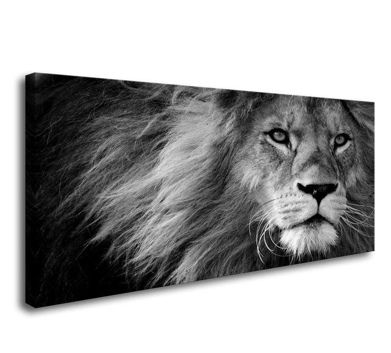 Baisuart BaisuartD0162 Canvas Prints Wall Art Grey lion Stretched Canvas Wooden Framed for living Room Bedroom and Office 