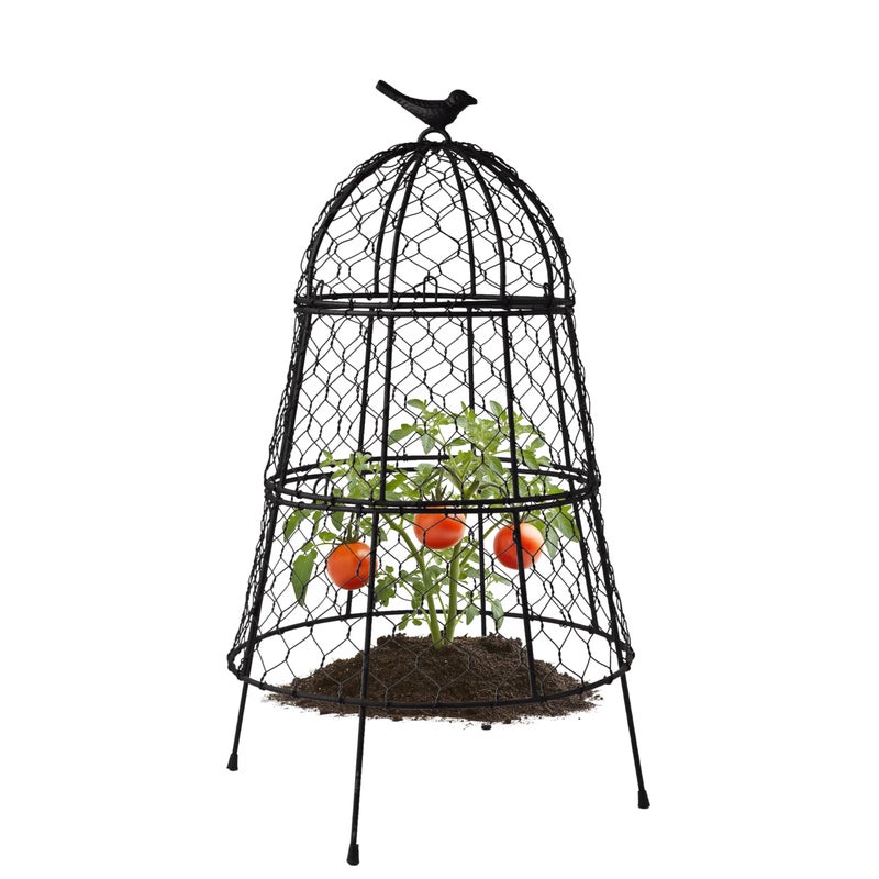 DHAMPOOH Pack of 6 Heavy-Duty Chicken Wire Plant Cloches â€“ Rustproof Garden Protectors and Plant Cages for Vegetables and Flowers â€“ Safeguard Plants from Deer and Critters â€“ 20â€ x 12â€ - Image 2