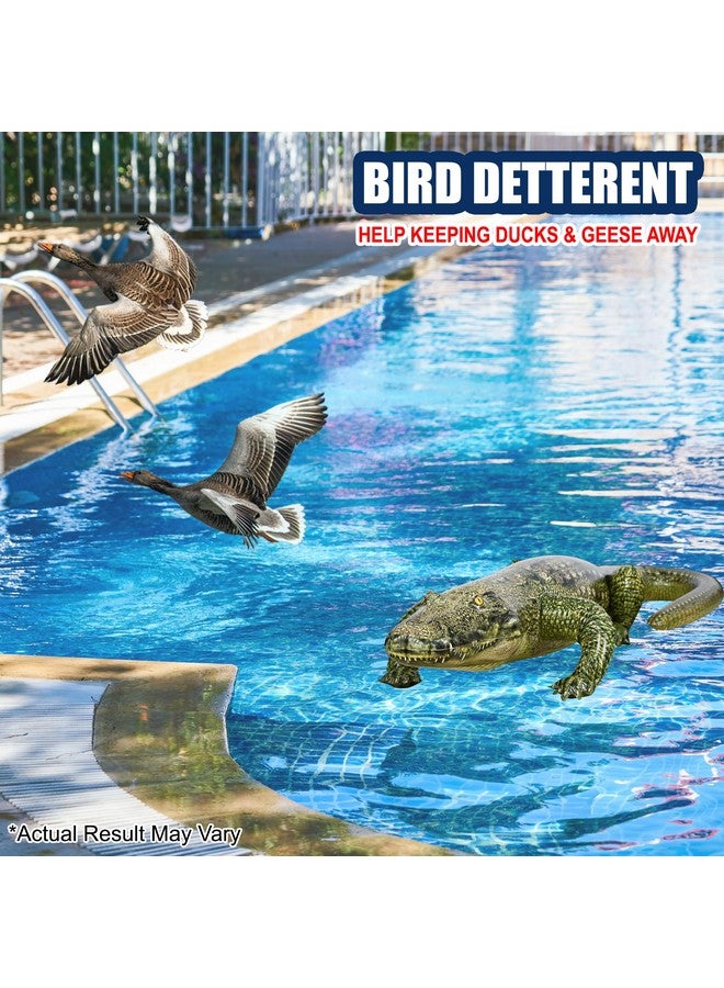 Jet Creations جيت كريشنز تمساح قابل للنفخ 49" (76" من الرأس إلى الذيل) طويل، أخضر مع نقش درع، حيوان بري واقعي، تميمة فريق رياضي، ديكور للبركة، حديقة، دعامة تصوير، طارد للطيور، 1 قطعة - Image 5