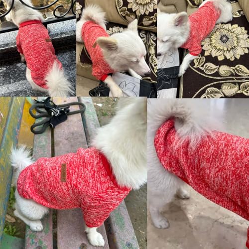 Lulala Dog Classic Knitwear Sweater, Fleece Coat only for Small Dog & Puppies, Warm Pet Dog Cat Clothes, Soft Puppy Customs (Orange-Red-6 Inch) - Image 5