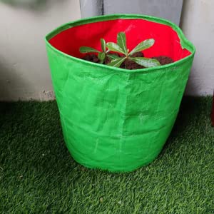 GroWonder Grow Bags for Terrace Gardening 18x18 inches Pot for Plants, 230 GSM Strong, Terrace Gardening Vegetable Planting Pots, Woven Fabric Leafy Fruits Growing Containers, Pack of 8 - Image 5
