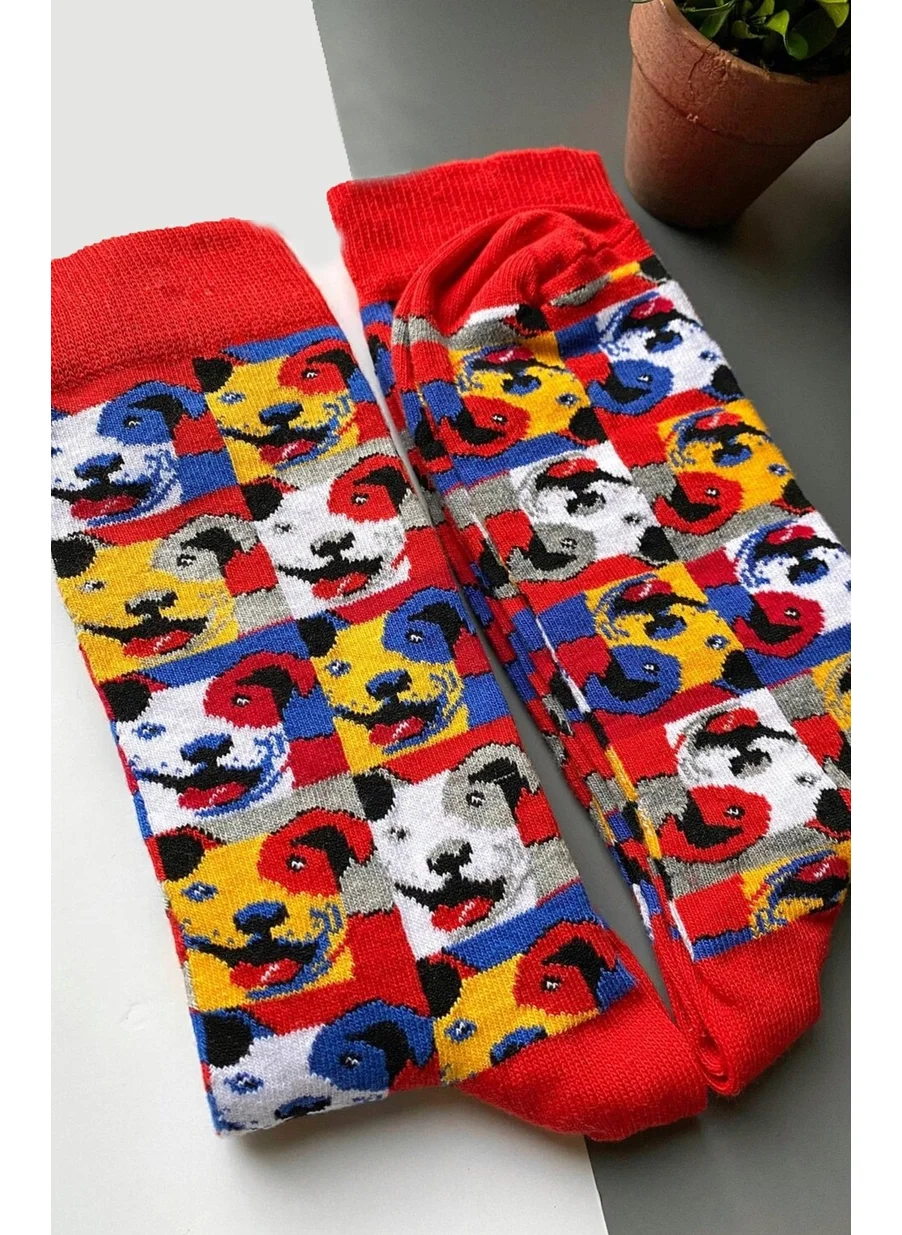 Dode Flora Dog Patterned Socks Men's Long Socks Clb