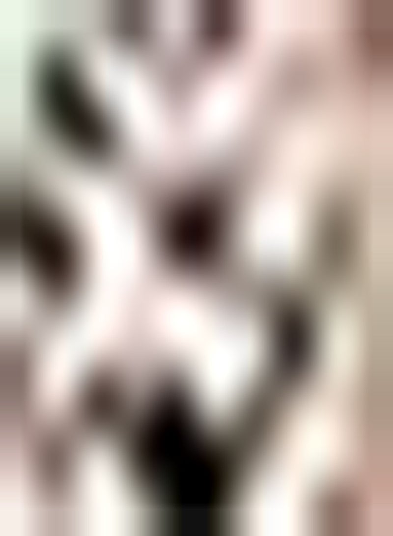 GGOOT 2Stück Amaryllis Zwiebeln in gemischten Farben mehrjährige ländliche Landschaft Starke Anpassungsfähigkeit genießen Sie den Spaß beim Pflanzen seltener Sorten schwacher Duft wenn Blumen blühen - Image 1