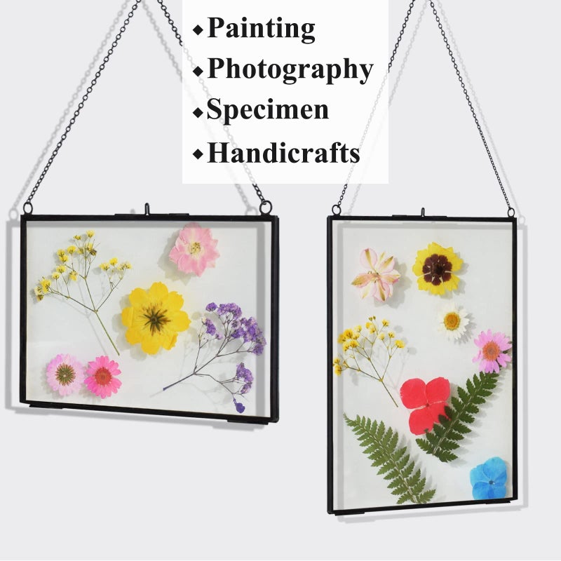 TLBTEK 2 pcs Black Hanging Photo Frame  5x7 inch Double Glass Frame for Pressed Flowers Clear DIY Vintage Artwork Display Frame Wall Mounted Photos Frame(horizontal+vertical) - Image 2
