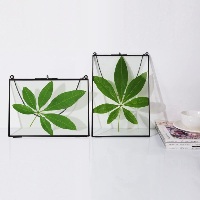 TLBTEK 2 pcs Black Hanging Photo Frame  5x7 inch Double Glass Frame for Pressed Flowers Clear DIY Vintage Artwork Display Frame Wall Mounted Photos Frame(horizontal+vertical) - Image 4
