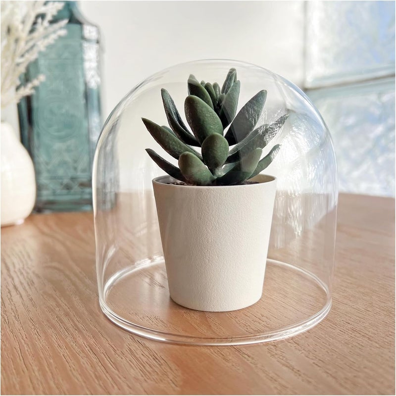 Plymor 4" x 4" Glass Display Dome Cloche (no Base) - Image 3