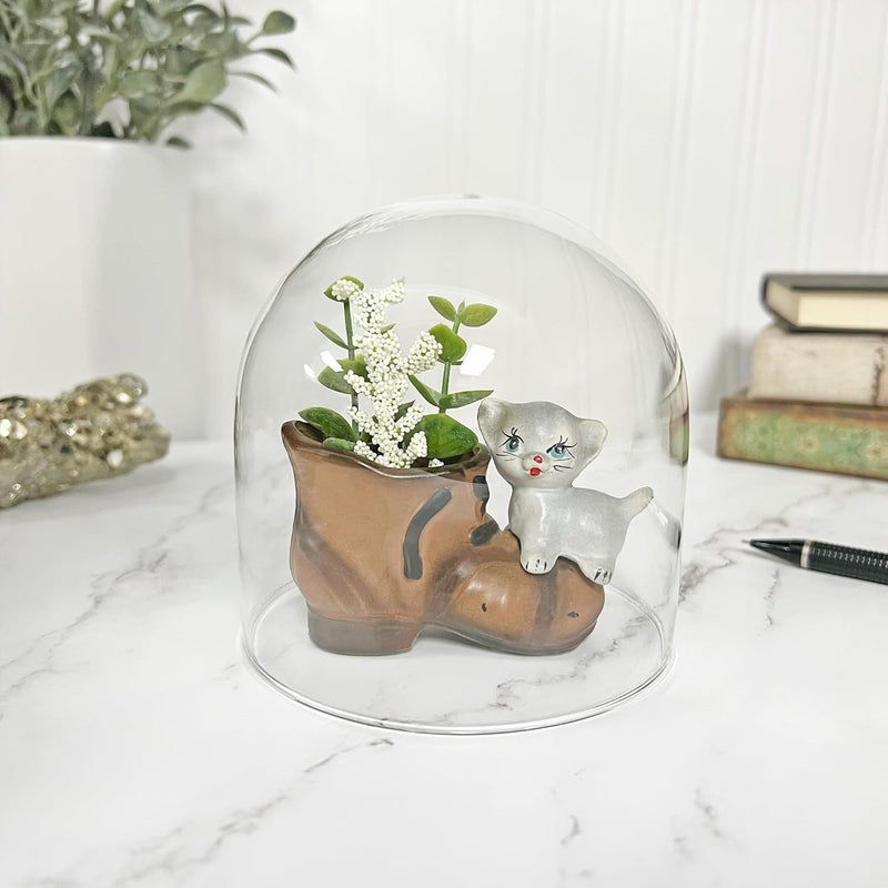 Plymor 4" x 4" Glass Display Dome Cloche (no Base) - Image 2