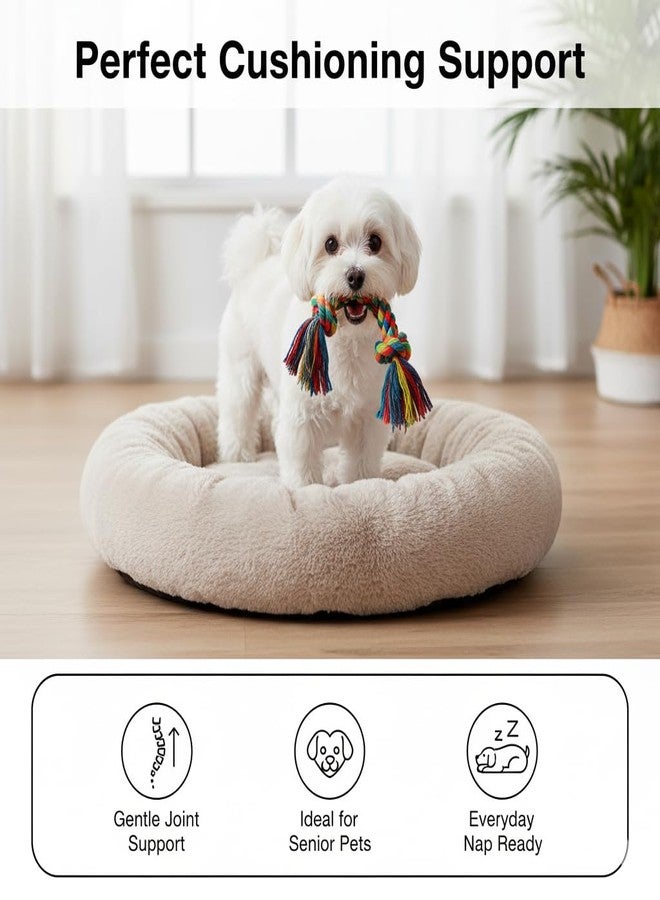 Small Dog Bed for Dogs & Cats | Ultra Soft Plush Donut Pet Bed with Anti-Skid Bottom | Warm Fluffy Sleeping Cushion House for Puppies Kittens Indoor Pets | Cream - Image 2