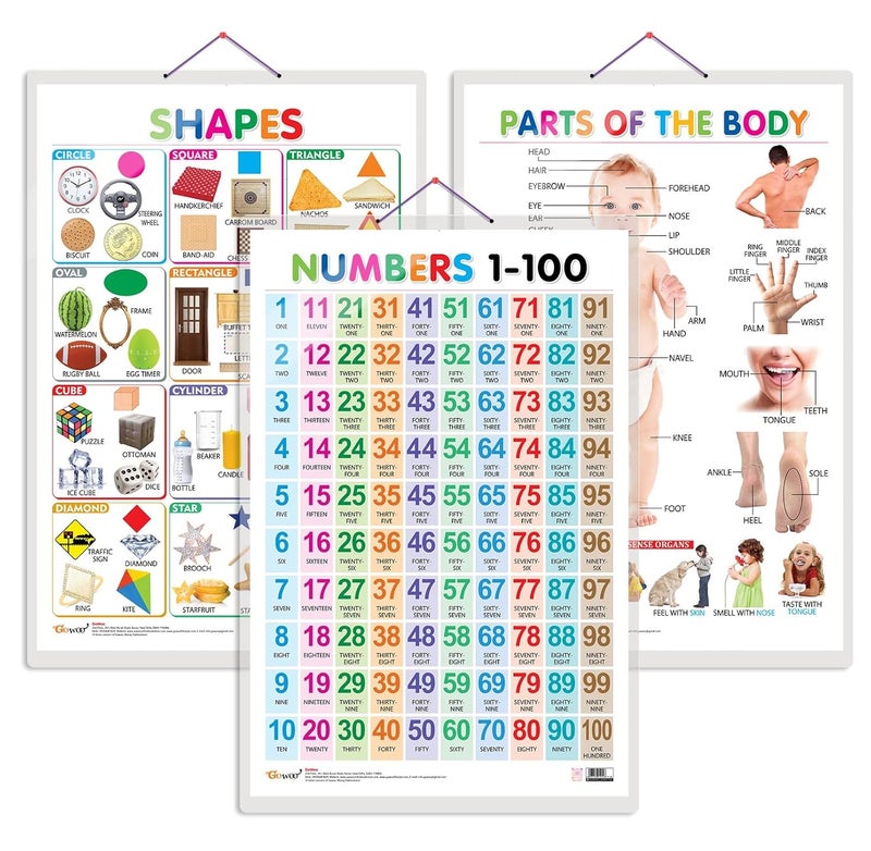 GoWoo Set of 3 Shapes, Parts of The Body and Numbers 1-100 Chart for Kids | 20"X30" inch |Non-Tearable and Waterproof | Double Sided Laminated | Perfect for Homeschooling, Kindergarten and Nursery Students - Image 1