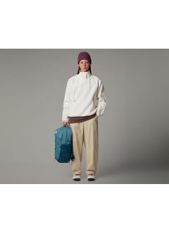 THE NORTH FACE W Cragmont Flecce 1/4 Snap Women's Polar Sweatshirts NF0A84IBQLI1 Beige  - Image 4