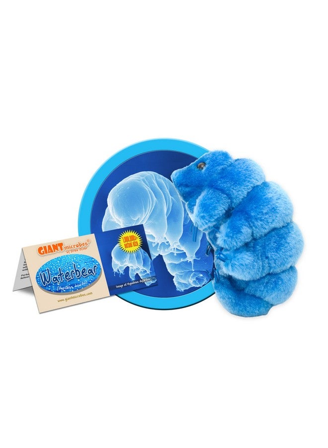 Giant Microbes GIANTmicrobes Tardigrade Plush, Water Bear Plush Toy, Biology Gifts, Microbiology Gifts, Tardigrade Stuffed Animal, Tardigrade Gifts, Tardigrade Toy - Image 2