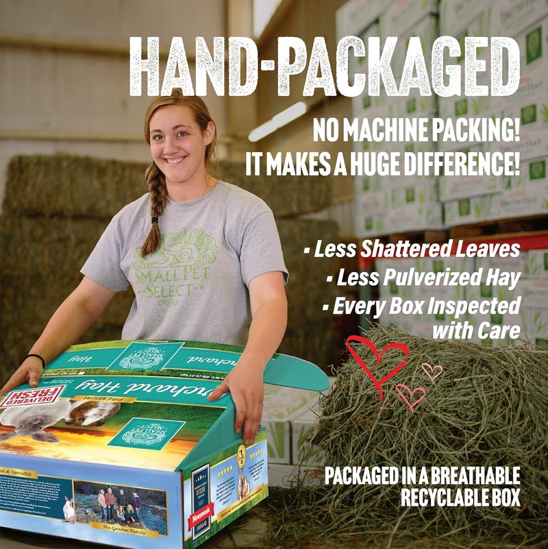 Small Pet Select Orchard Grass Hay Pet Food, 20 Lb. - Image 3