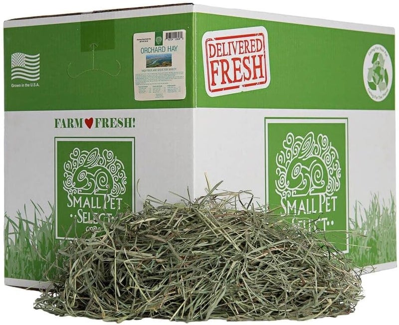 Small Pet Select Orchard Grass Hay Pet Food, 20 Lb. - Image 1