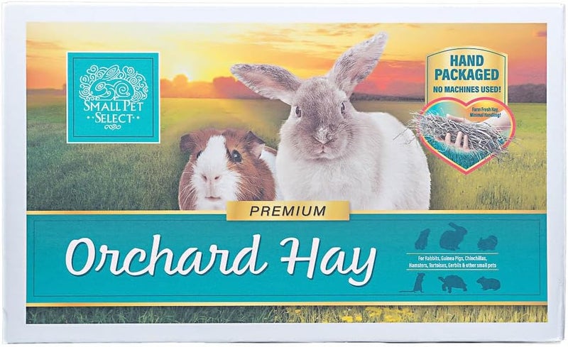 Small Pet Select Orchard Grass Hay Pet Food, 20 Lb. - Image 4