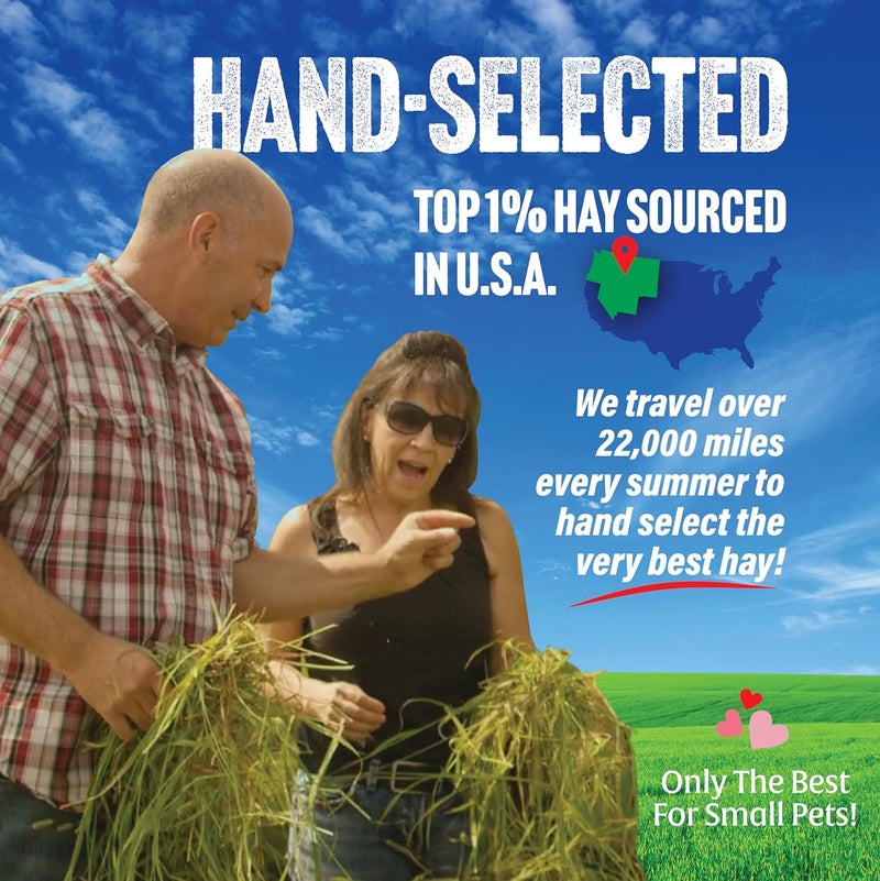 Small Pet Select Orchard Grass Hay Pet Food, 20 Lb. - Image 2