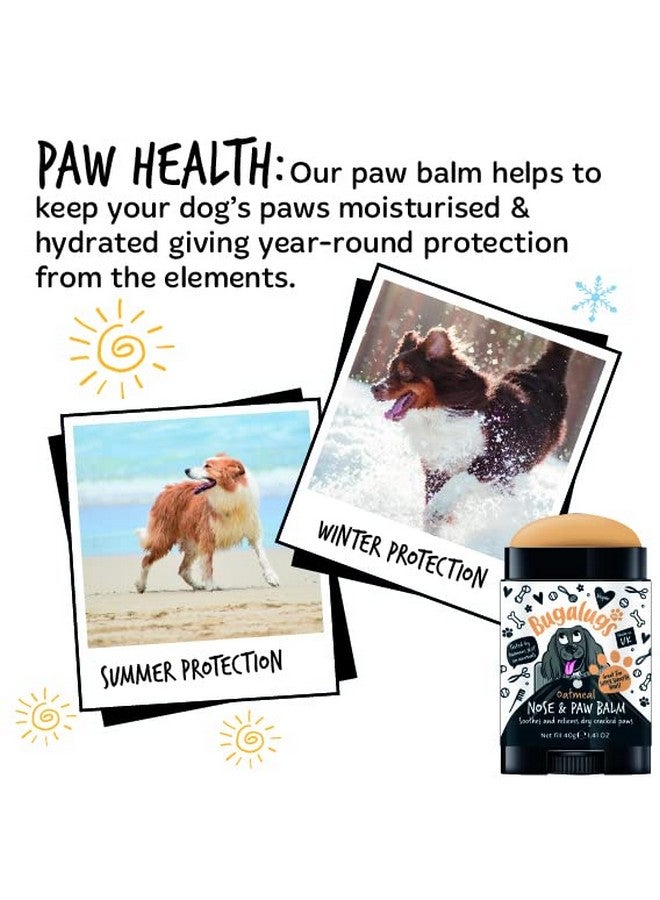 بوجالوجز بلسم بوجالوجز لراحة أقدام الكلاب وبلسم أنف الكلاب 40 جم (1.41 أونصة) - بلسم مرطب لأقدام الكلاب يُنشئ حاجزًا غير مرئي يحمي ويعالج الأقدام الجافة المتشققة - بلسم طبيعي بالكامل لأقدام الكلاب مع دقيق الشوفان - Image 4