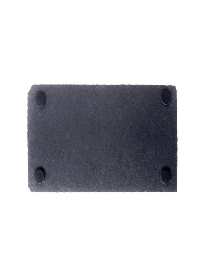 OMEM Turtle Reptile Rock Food Plate Grinding The Nail (M) - Image 2