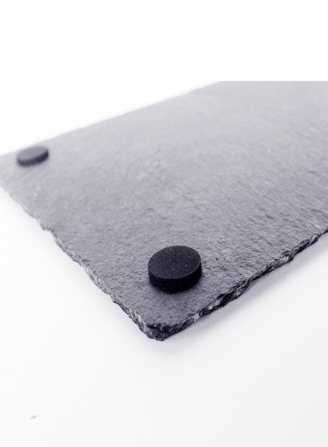 OMEM Turtle Reptile Rock Food Plate Grinding The Nail (M) - Image 3