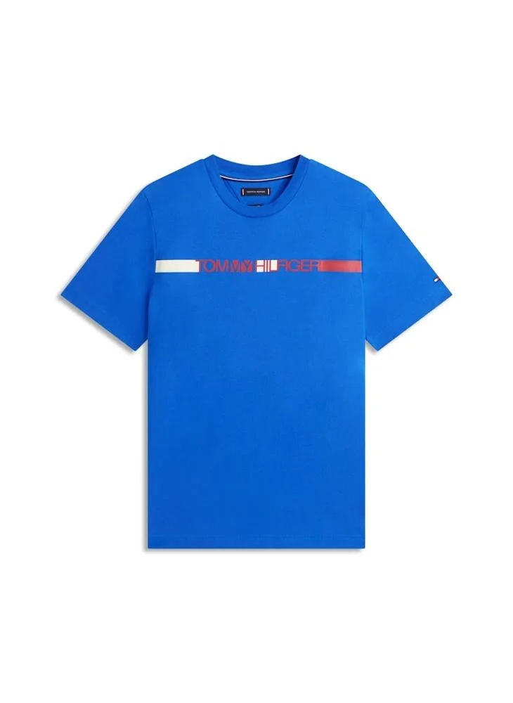 TOMMY HILFIGER  Logo Stripe Jersey Crew Neck T-Shirt for Men | Best Price UAE