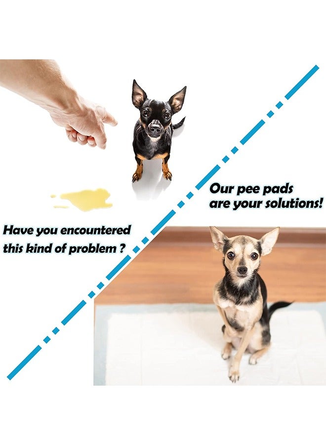 100pcs Pet Overnight Urine Pad, Thickened Diaper, Instant Suction Water, Lock Deodorization, For Pet Incontinence, For Changing Mats or Pet Training, 33*45cm - Image 5