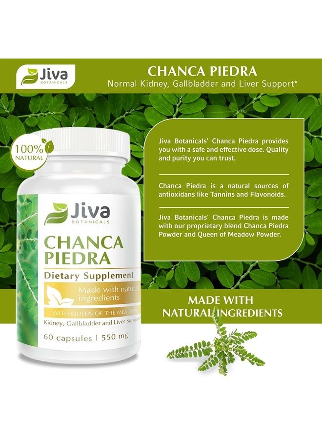 Jiva BOTANICALS Chanca Piedra Cleanse Supplement - Organic Chanca Piedra Capsules for Kidney & Liver Support - Chanca Piedra 500mg Extract Herb and 50mg Queen Of The Meadow - 60 Capsules - Image 2