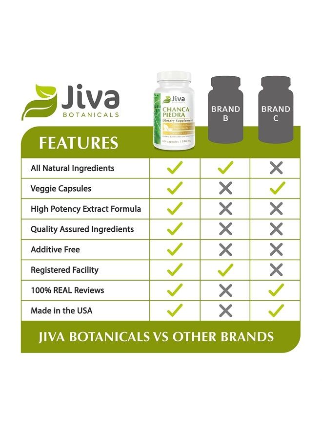 Jiva BOTANICALS Chanca Piedra Cleanse Supplement - Organic Chanca Piedra Capsules for Kidney & Liver Support - Chanca Piedra 500mg Extract Herb and 50mg Queen Of The Meadow - 60 Capsules - Image 4