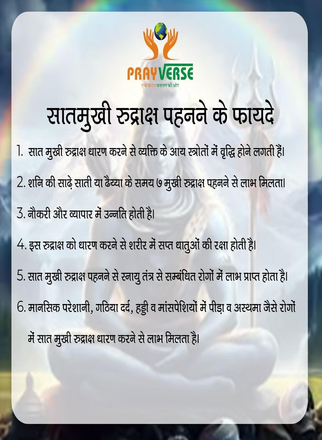 PRAYVERSE 07 Seven Mukhi Rudraksha معتمد وأصلي نيبالي 7 Mukhi Rudraksh طبيعي 7 وجه Rudraksha (بني) مع شهادة - Image 4