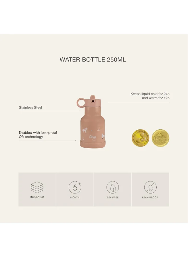 Citron Vacuum Insulated Stainless Steel Water Bottle For Kids 250 Ml - Dino Green