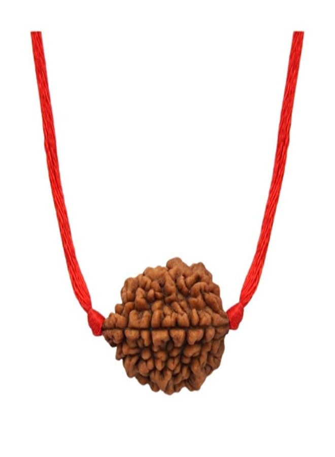 MAYAPURI Natural 2 Mukhi Rudraksha (Brown) /2 Face Rudraksha Bead (Pendant) for Men & Women (Pack of 1) - Image 1