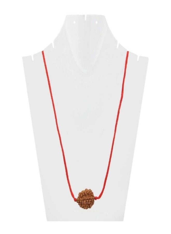 MAYAPURI Natural 2 Mukhi Rudraksha (Brown) /2 Face Rudraksha Bead (Pendant) for Men & Women (Pack of 1) - Image 3