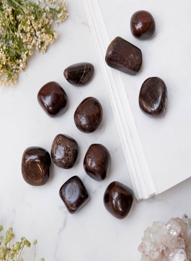 Pyramid Tatva Tumble - Garnet Polished Crystal Stone 6 Pieces Natural Chakra Balancing Crystal Healing Stone - Image 5