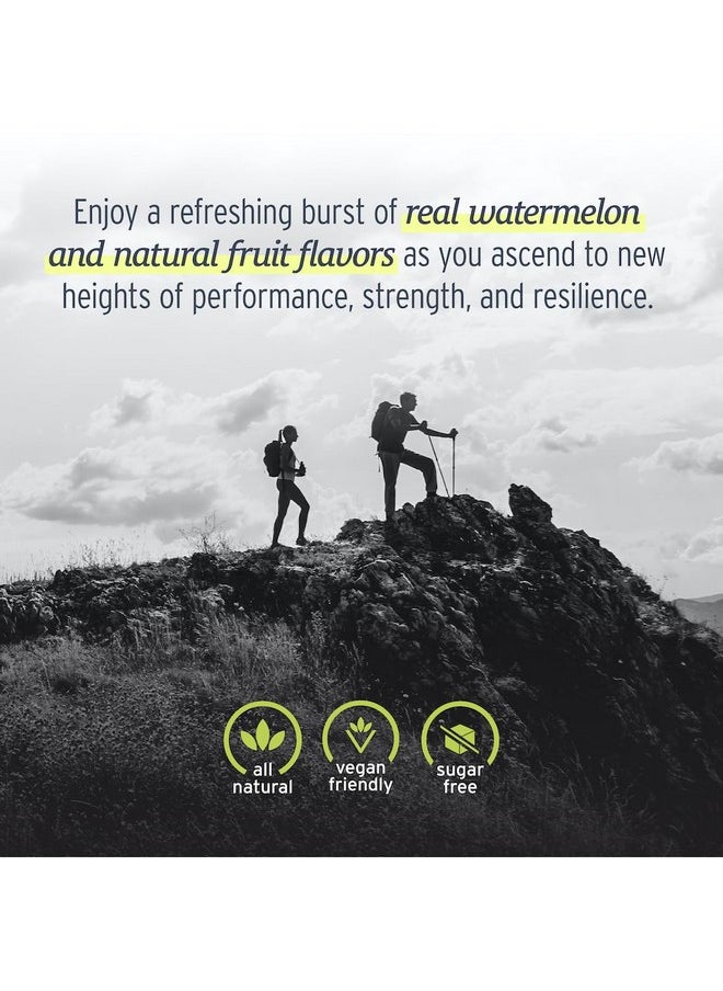 SunMed - SUNMED Peak Vitality with Himalayan Shilajit for Strength + Optimal Health Sugar-Free, Vegan, All Natural Gummies, 60ct - Watermelon Flavor - Image 1