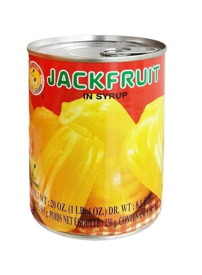 تاس جاكفروت في شراب 565 جرام