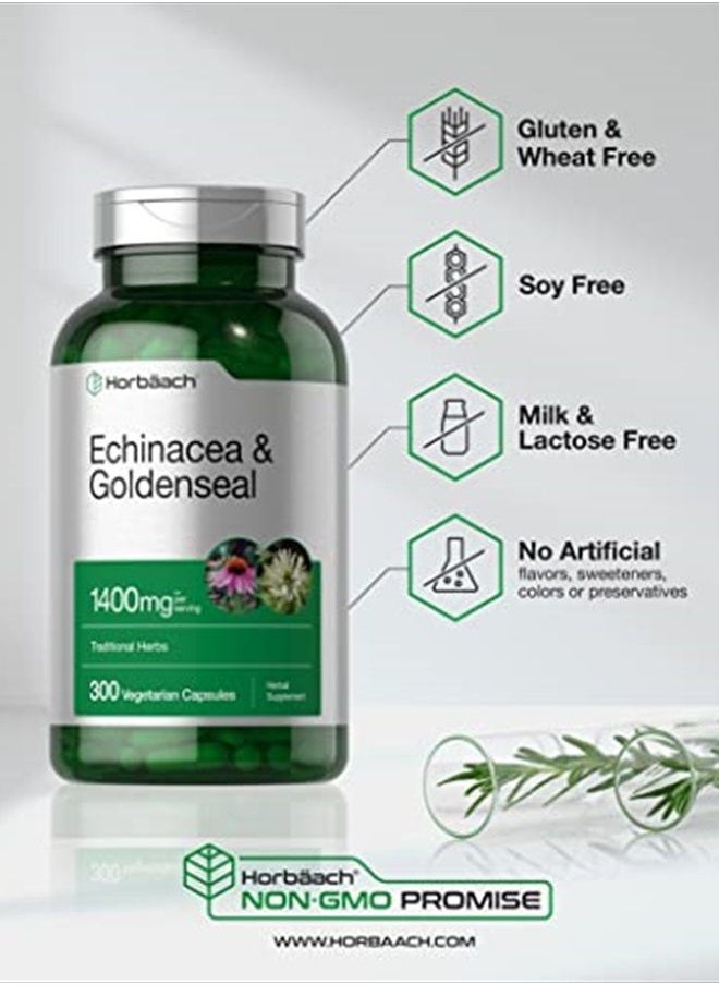 Horbäach Echinacea Goldenseal Capsules | 1400mg | 300 Count | Vegetarian, Non-GMO, Gluten Free Extract Supplement | by Horbaach  - Image 5