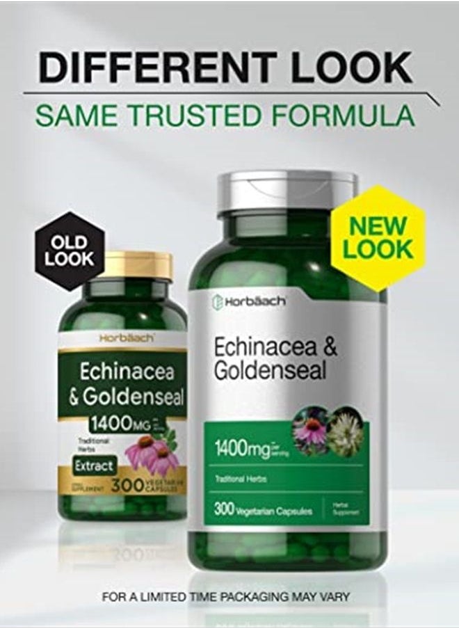 Horbäach Echinacea Goldenseal Capsules | 1400mg | 300 Count | Vegetarian, Non-GMO, Gluten Free Extract Supplement | by Horbaach  - Image 4