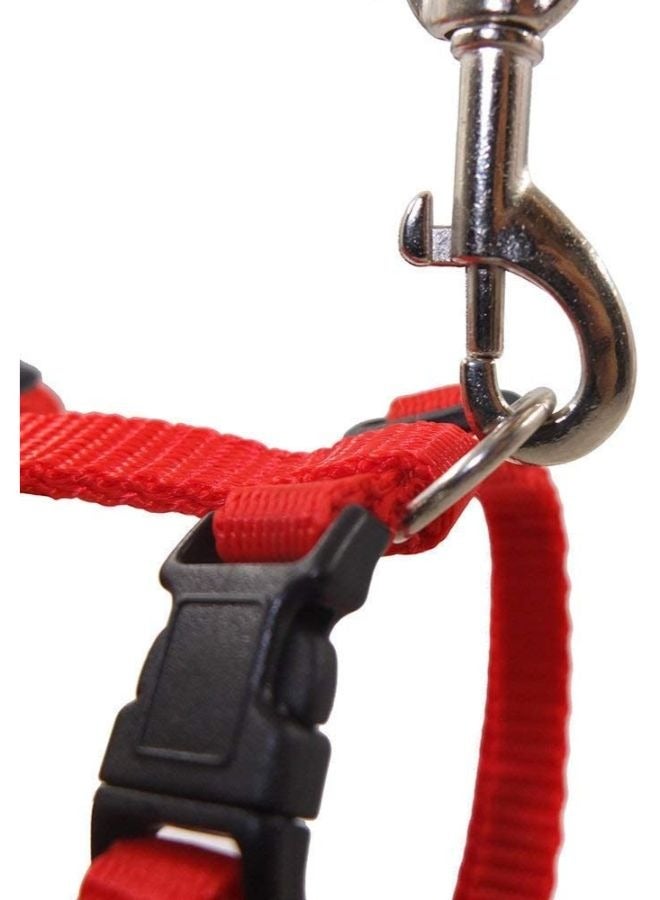 Adjustable Nylon Pet Cat Puppy Harness with Lead Leash Strap Belt Safety Rope - Image 4