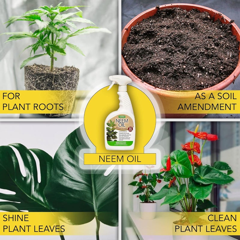 Harris Neem Oil Spray for Plants, Cold Pressed Ready to Use, 20oz - Image 4