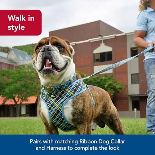 Coastal Pet Ribbon Dog Leash - Contemporary Stylish Look - Durable Fade-Resistant Nylon Material - Perfect for Dogs Brown Paws and Bones, 5/8" x 06' - Image 3