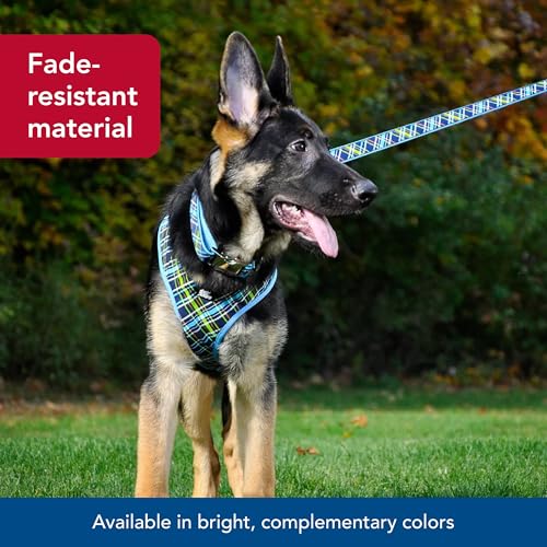 Coastal Pet Ribbon Dog Leash - Contemporary Stylish Look - Durable Fade-Resistant Nylon Material - Perfect for Dogs Brown Paws and Bones, 5/8" x 06' - Image 4