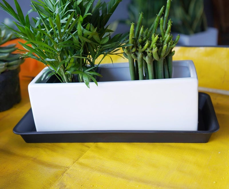 VUWEZ Rectangle Plant Tray, Plant Drip Tray, Plant Pot Saucers, Plant Germination Trays, Plant Saucers - Image 5