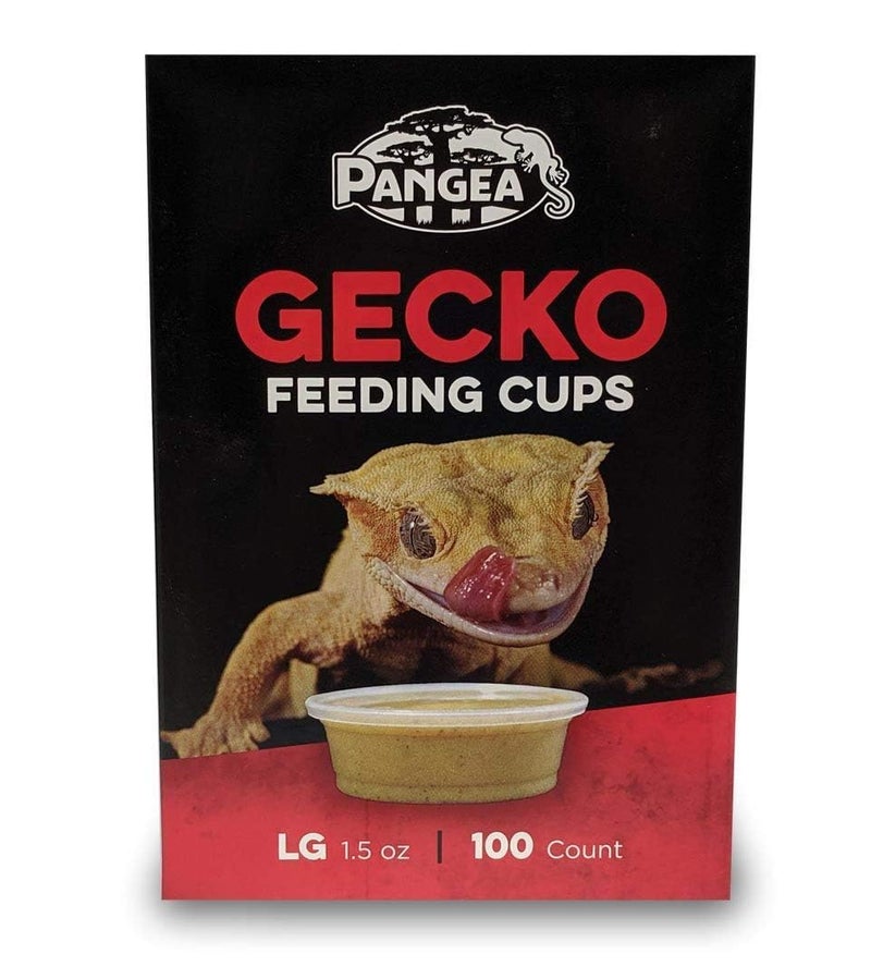 Pangea Large Gecko Ledge Replacement Cups 100 Count - Image 2