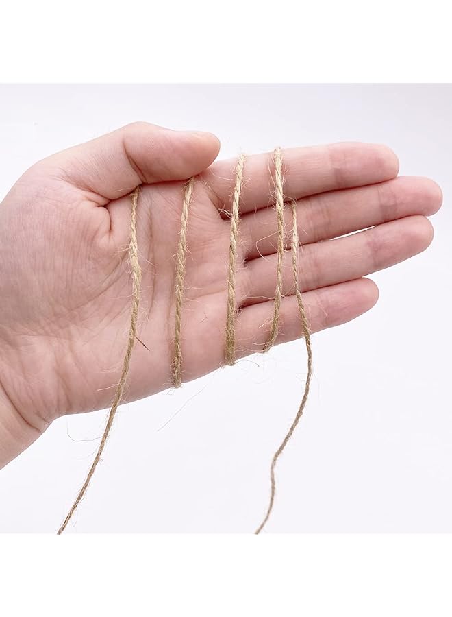 إيروريكس خيط الجوت بطول 328 قدمًا وسمك 1 مم، مكون من طبقتين، حبل جوت طبيعي متين، مناسب للحرف اليدوية وصناعة المجوهرات والمشاريع المنزلية - Image 4