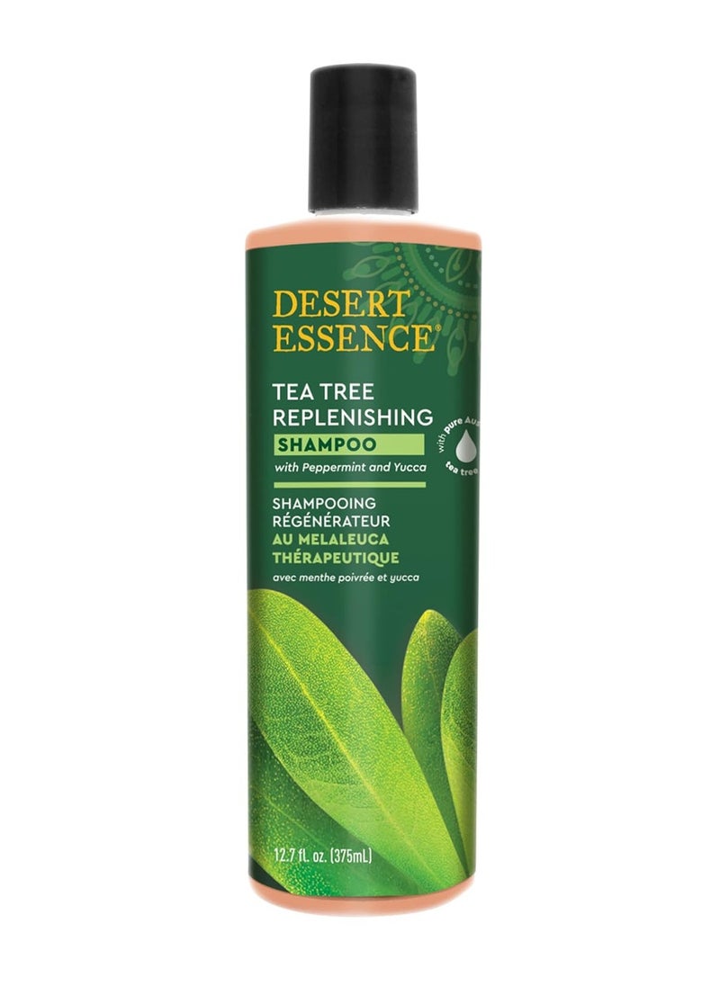DESERT ESSENCE Desert Essence Tea Tree Oil Replenishing Shampoo, 12.7 fl oz, Gluten Free, Vegetarian, Non-GMO, Paraben Free - Moisture Replenishing Shampoo with Peppermint & Eucalyptus Oils to Deeply Cleanse Hair  - Image 1