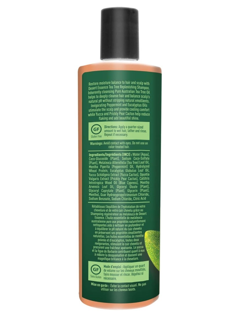 DESERT ESSENCE Desert Essence Tea Tree Oil Replenishing Shampoo, 12.7 fl oz, Gluten Free, Vegetarian, Non-GMO, Paraben Free - Moisture Replenishing Shampoo with Peppermint & Eucalyptus Oils to Deeply Cleanse Hair  - Image 2
