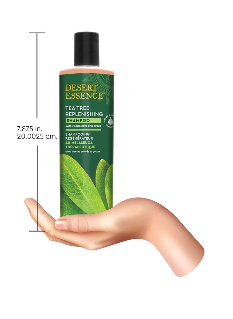 DESERT ESSENCE Desert Essence Tea Tree Oil Replenishing Shampoo, 12.7 fl oz, Gluten Free, Vegetarian, Non-GMO, Paraben Free - Moisture Replenishing Shampoo with Peppermint & Eucalyptus Oils to Deeply Cleanse Hair  - Image 3