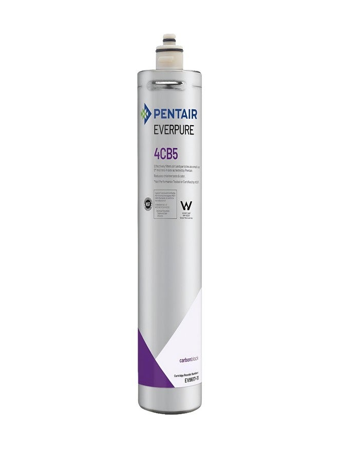 ever pure Everpure EV961716 4CB5 Cartridge - Image 1